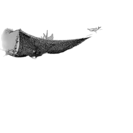 shoes, crown, sword, dragon transparent PNG cut-out