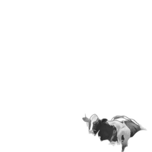 animal, creature, dragon, robot transparent PNG cut-out