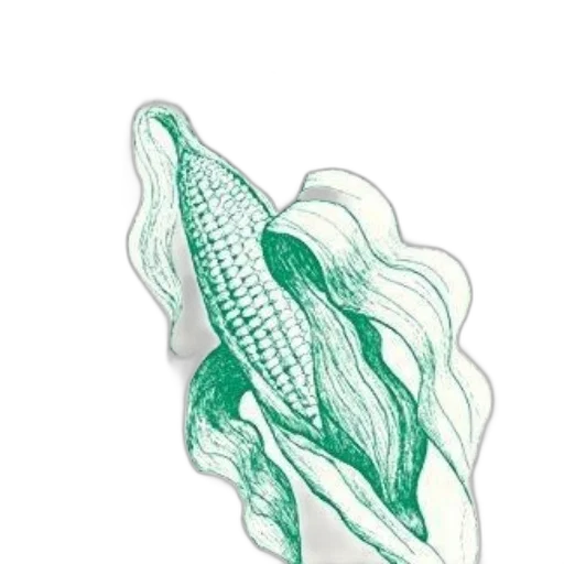 hat, food, hair, animal transparent PNG cut-out