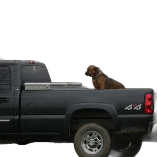 animal, car, dog, sits transparent PNG cut-out