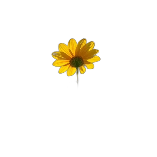 flower, crown, jewelry, staff transparent PNG cut-out