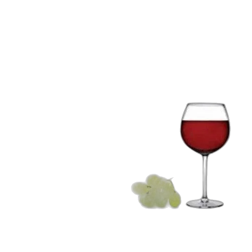 food, bottle, animal, shoes transparent PNG cut-out