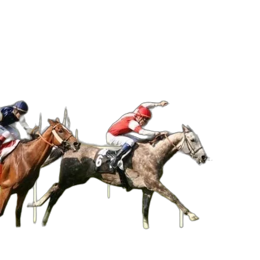 photorealistic, two, jockeys, racing transparent PNG cut-out