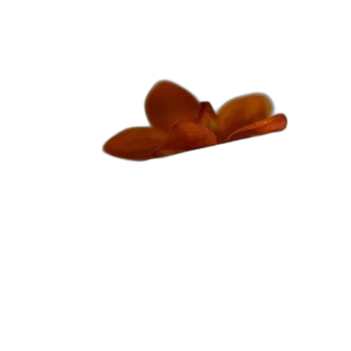 food, crown, hat, flower transparent PNG cut-out