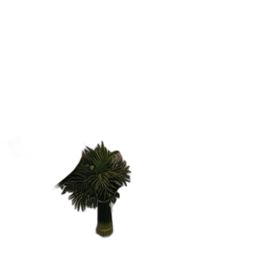 staff, tree, crown, hat transparent PNG cut-out