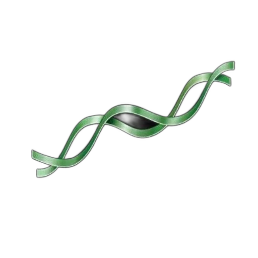 staff, jewelry, weapon, hair transparent PNG cut-out