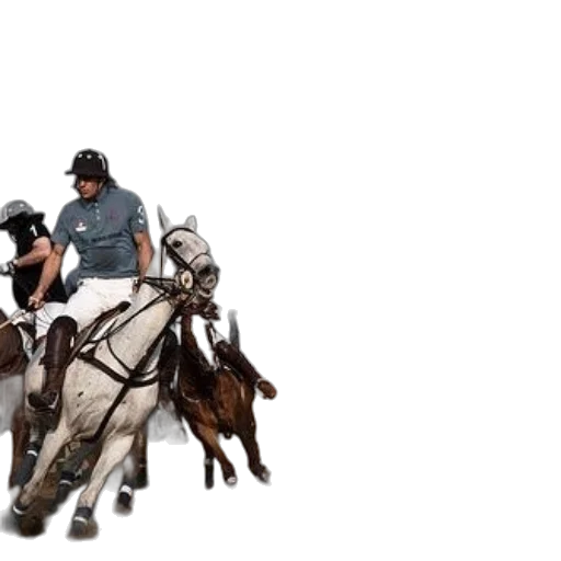 polo, player, white, horse transparent PNG cut-out