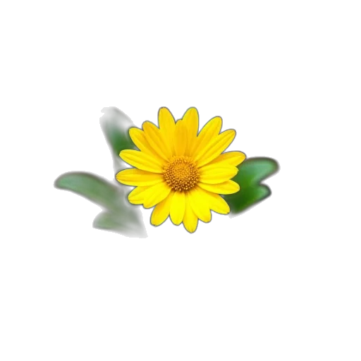 flower, crown, jewelry, weapon transparent PNG cut-out