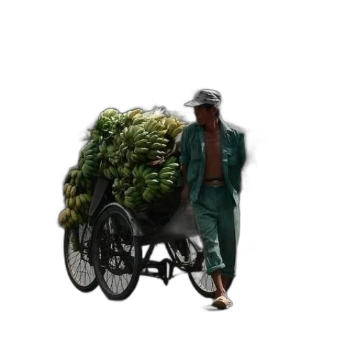 food, jacket, weapon, car transparent PNG cut-out