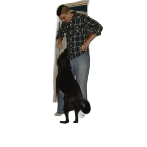 animal, staff, hat, creature transparent PNG cut-out