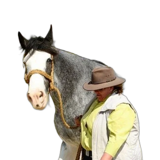 hat, jacket, animal, staff transparent PNG cut-out
