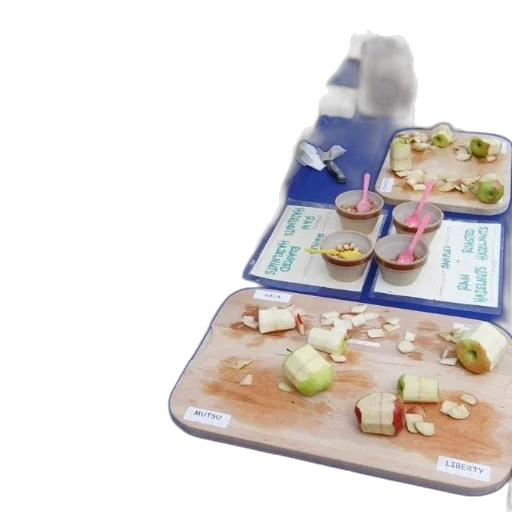 food, table, apples, various transparent PNG cut-out