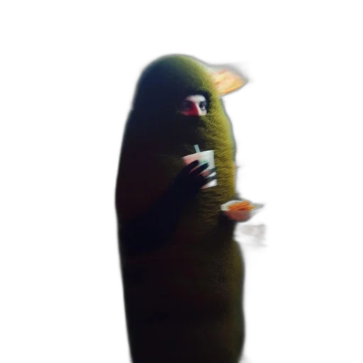 creature, animal, weapon, hat transparent PNG cut-out
