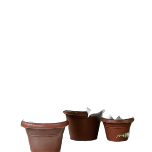crown, shoes, furniture, food transparent PNG cut-out