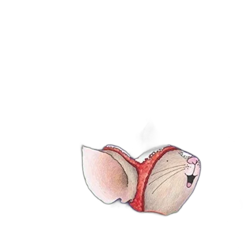 mask, hat, shoes, animal transparent PNG cut-out