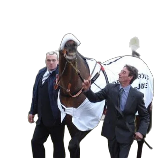 staff, animal, two, men transparent PNG cut-out
