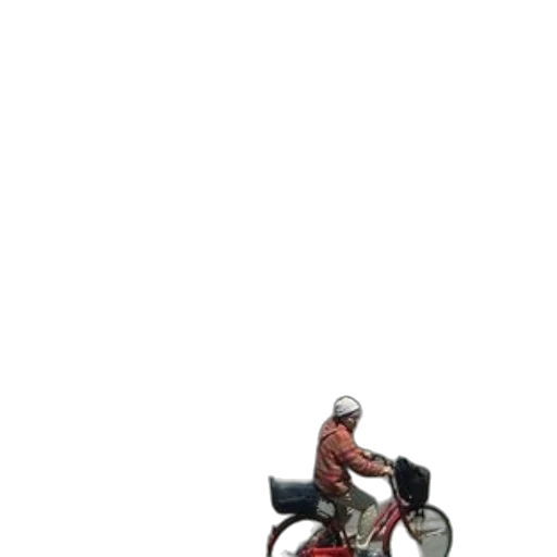 animal, creature, car, jacket transparent PNG cut-out