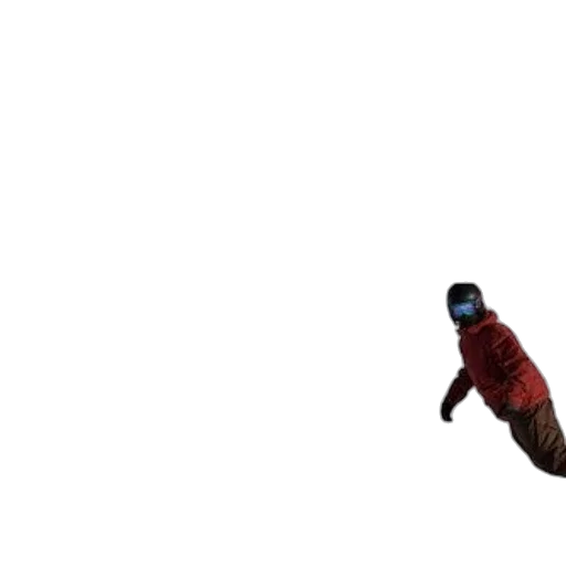 bottle, animal, creature, shoes transparent PNG cut-out