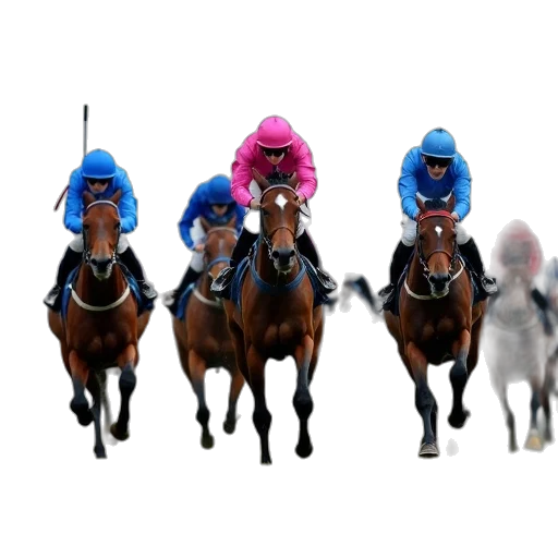 jockeys, pink, blue, race transparent PNG cut-out