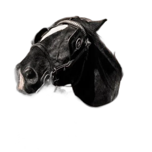 mask, animal, jewelry, staff transparent PNG cut-out