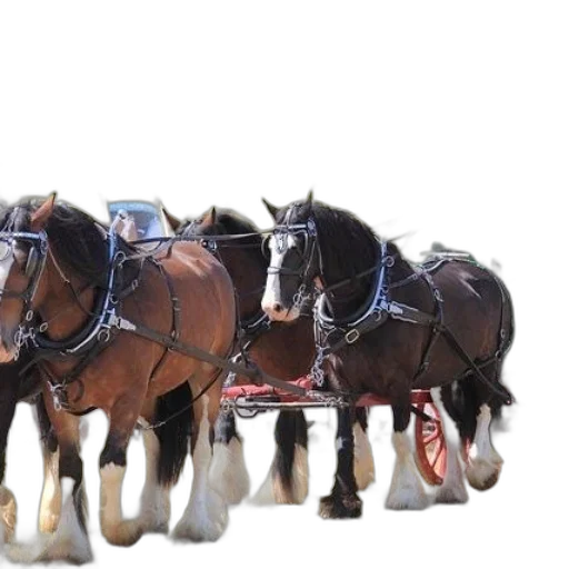 car, 3d render, horse-drawn, carriage transparent PNG cut-out