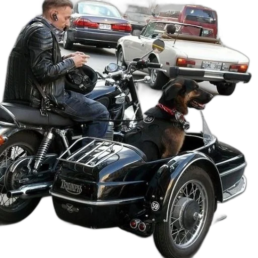car, jacket, photorealistic, concept art transparent PNG cut-out