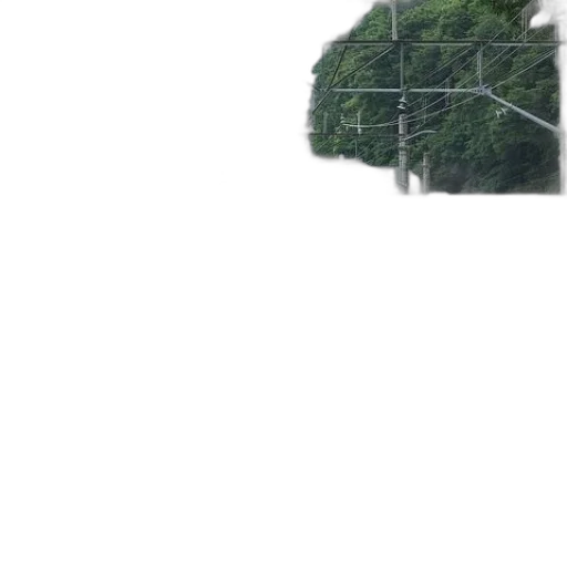 tree, animal, hat, creature transparent PNG cut-out