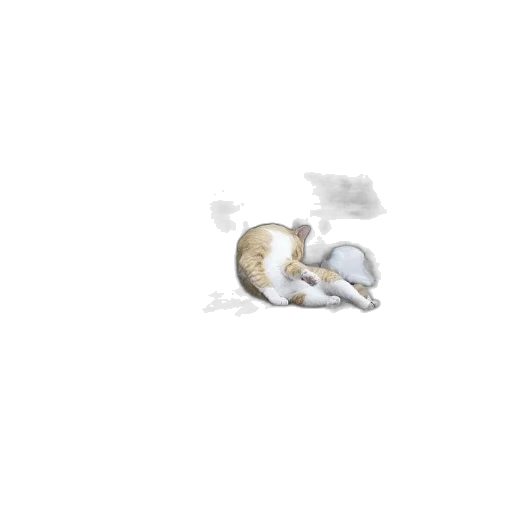 food, dragon, animal, creature transparent PNG cut-out