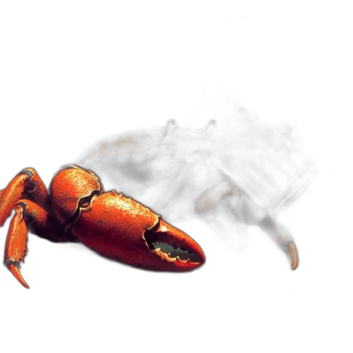 animal, creature, mask, food transparent PNG cut-out
