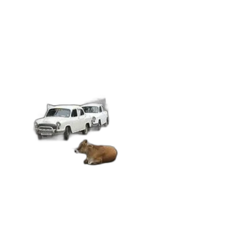 jewelry, furniture, animal, car transparent PNG cut-out