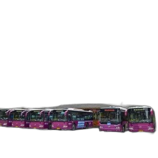 row, pink, buses, parked transparent PNG cut-out