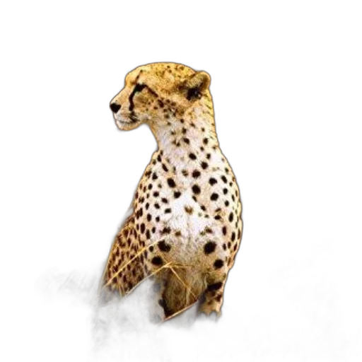 animal, staff, jewelry, creature transparent PNG cut-out