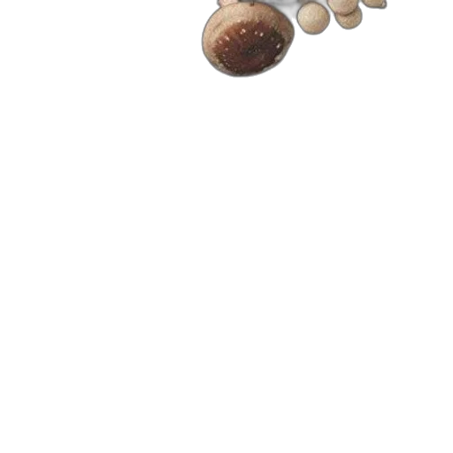 food, jewelry, furniture, weapon transparent PNG cut-out