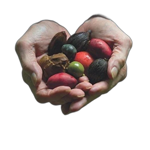 food, jewelry, earth tones, book transparent PNG cut-out