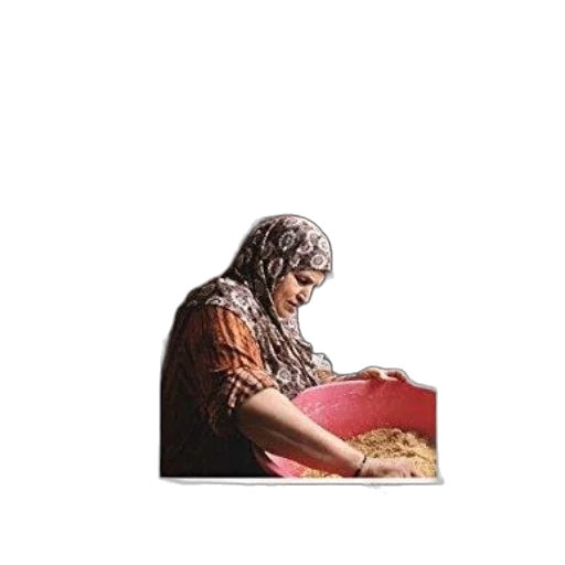 food, jewelry, weapon, animal transparent PNG cut-out