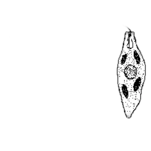 jewelry, crown, sword, staff transparent PNG cut-out
