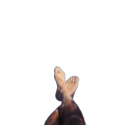 shoes, creature, animal, hair transparent PNG cut-out