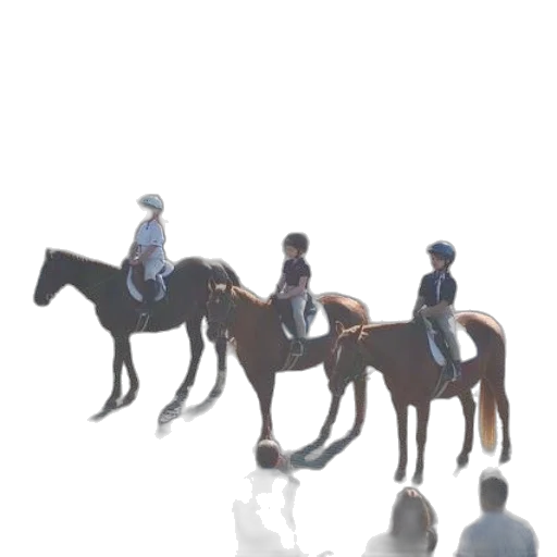 hat, animal, staff, crown transparent PNG cut-out
