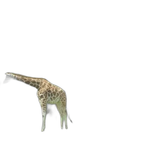 animal, creature, dragon, staff transparent PNG cut-out