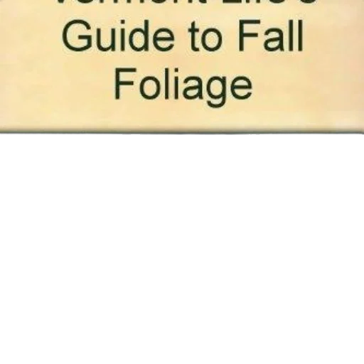 furniture, book, cover, title transparent PNG cut-out