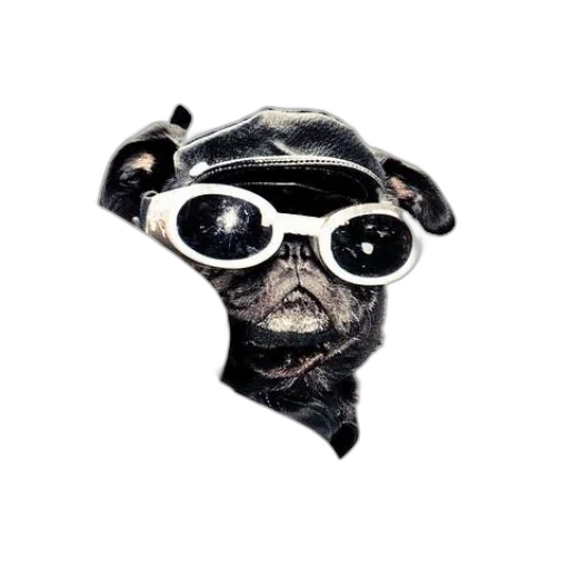 mask, staff, face, animal transparent PNG cut-out