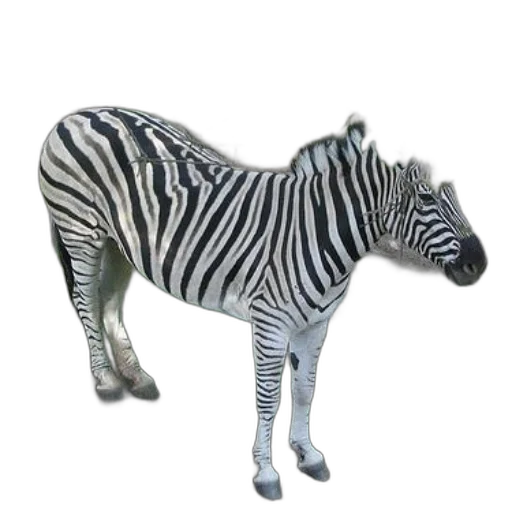 animal, creature, jewelry, furniture transparent PNG cut-out