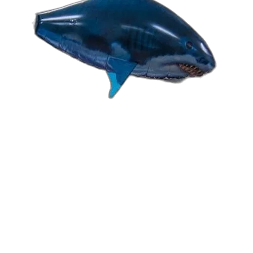 animal, hat, creature, jewelry transparent PNG cut-out