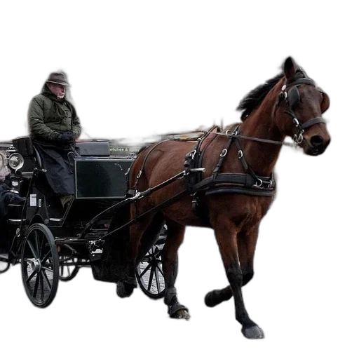 car, animal, staff, hat transparent PNG cut-out