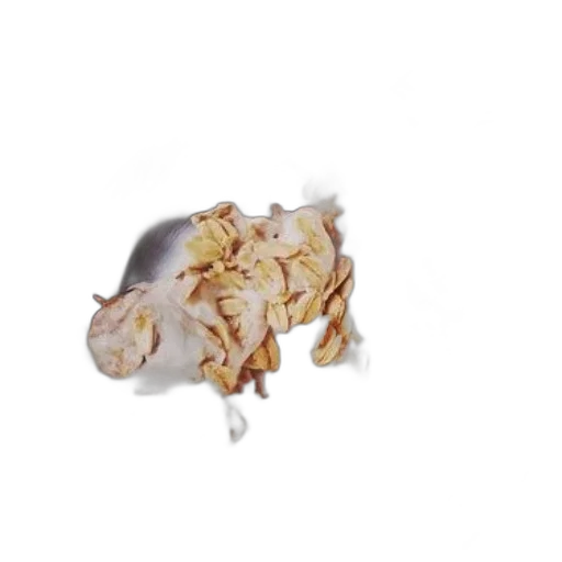 food, jewelry, animal, dragon transparent PNG cut-out