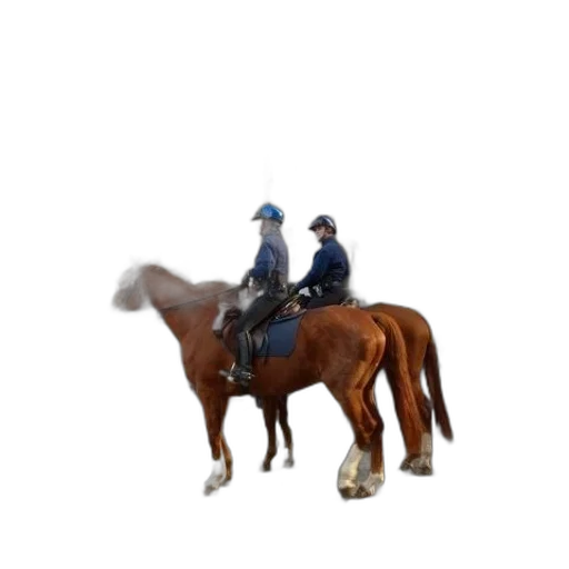 staff, jacket, animal, hat transparent PNG cut-out
