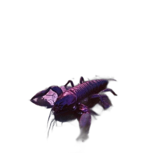 creature, animal, dragon, weapon transparent PNG cut-out