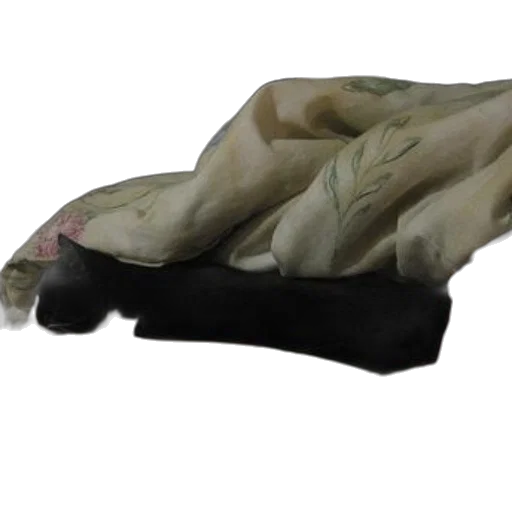 shoes, mask, creature, animal transparent PNG cut-out