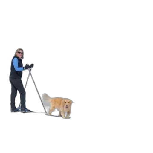 staff, animal, creature, weapon transparent PNG cut-out