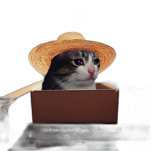 hat, animal, food, creature transparent PNG cut-out